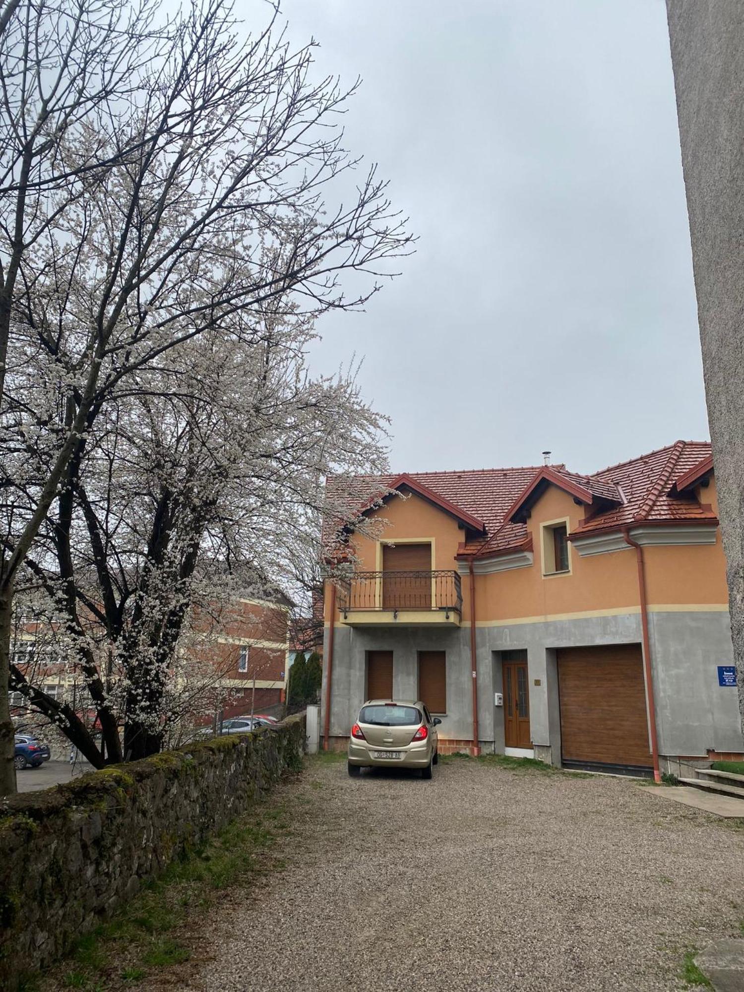 Apartman Galerija 오굴린 외부 사진